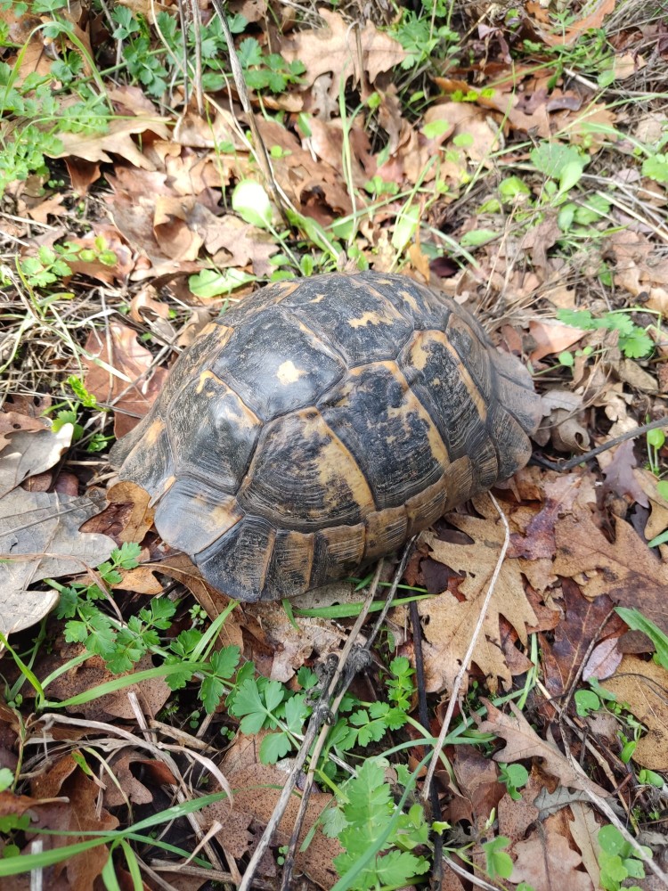 WhatsApp Image 2025-10-26 at 22.14.39.jpeg