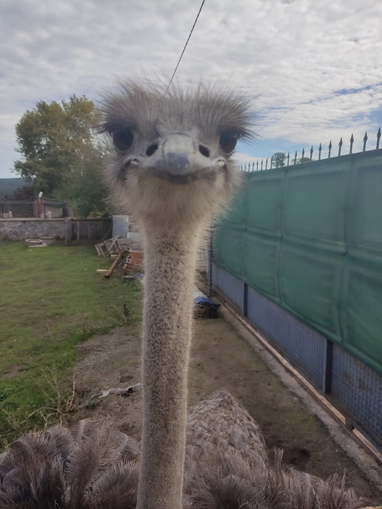 WhatsApp Image 2025-10-26 at 22.14.40 (1).jpeg