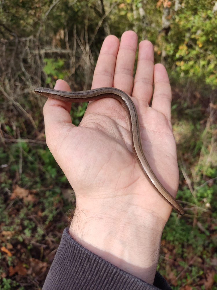 WhatsApp Image 2025-10-26 at 22.14.40.jpeg