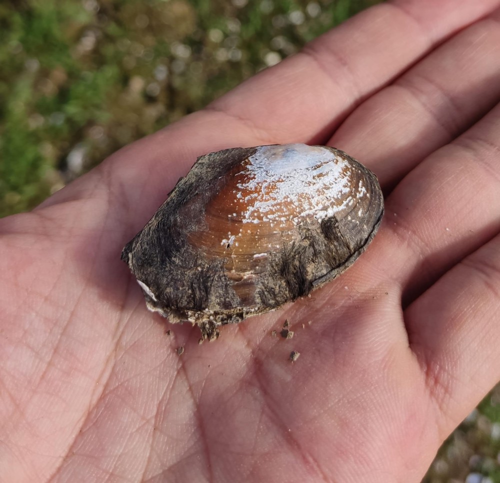 WhatsApp Image 2025-10-26 at 22.14.41.jpeg