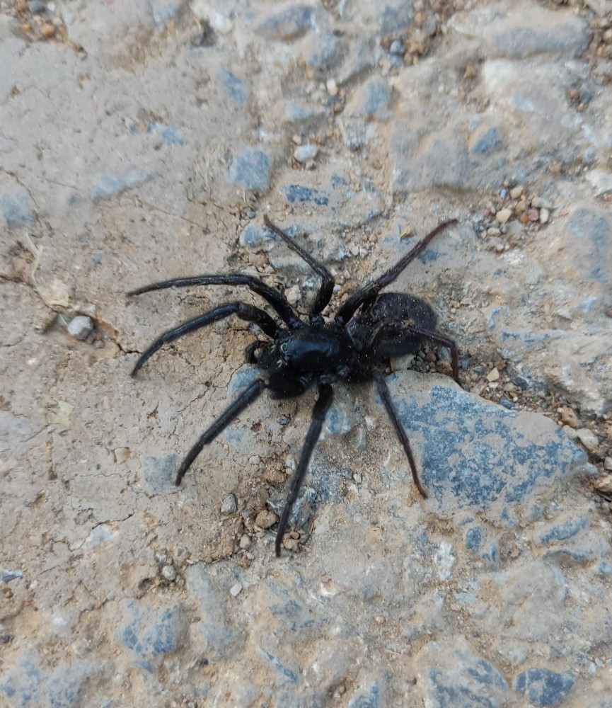 WhatsApp Image 2025-10-26 at 22.14.42.jpeg