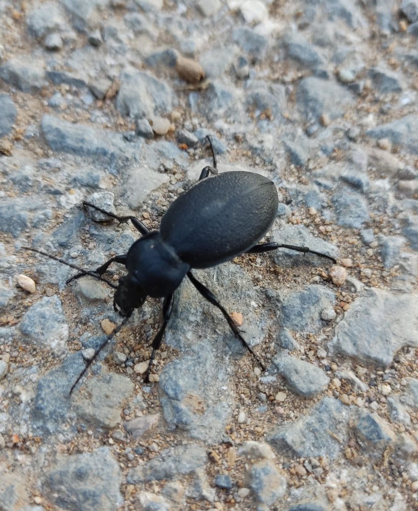 WhatsApp Image 2025-10-26 at 22.14.43.jpeg