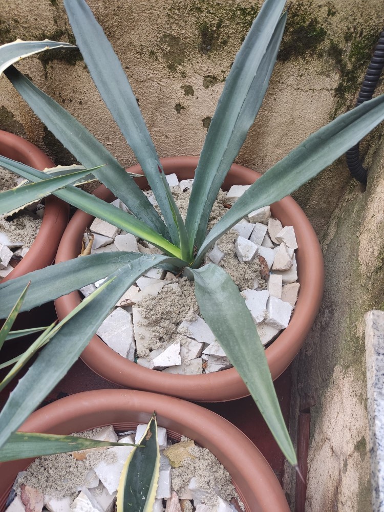 WhatsApp Image 2025-10-30 at 01.23.45 (2).jpeg