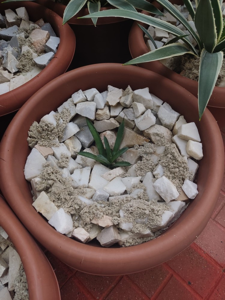 WhatsApp Image 2025-10-30 at 01.23.45 (3).jpeg