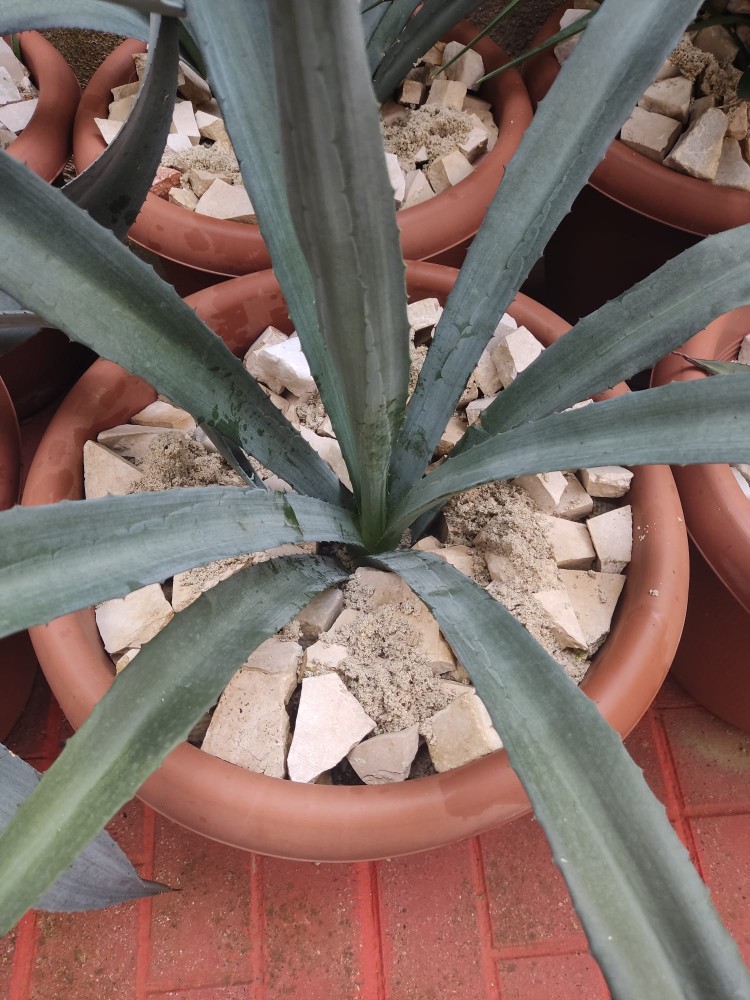 WhatsApp Image 2025-10-30 at 01.23.46 (2).jpeg