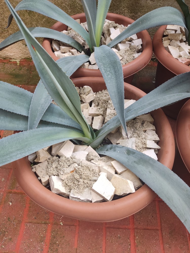 WhatsApp Image 2025-10-30 at 01.23.46 (3).jpeg