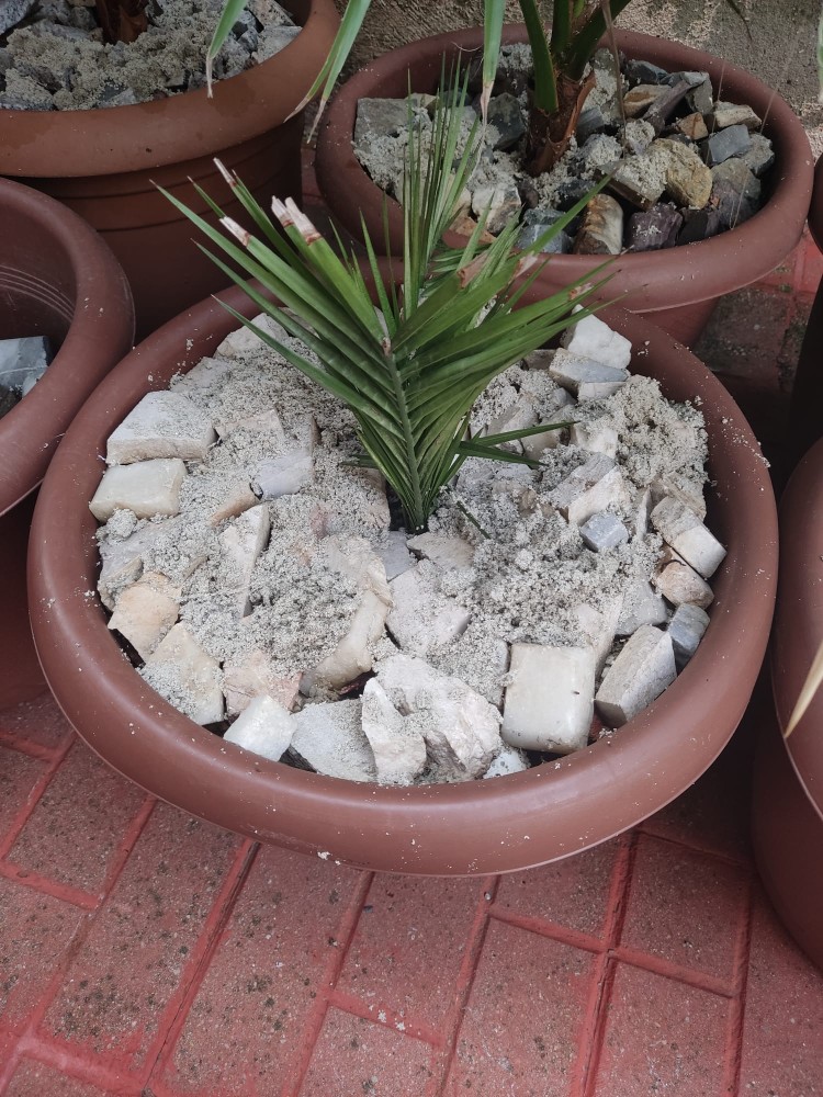 WhatsApp Image 2025-10-30 at 01.23.46 (4).jpeg