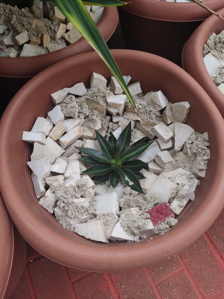 WhatsApp Image 2025-10-30 at 01.23.46.jpeg