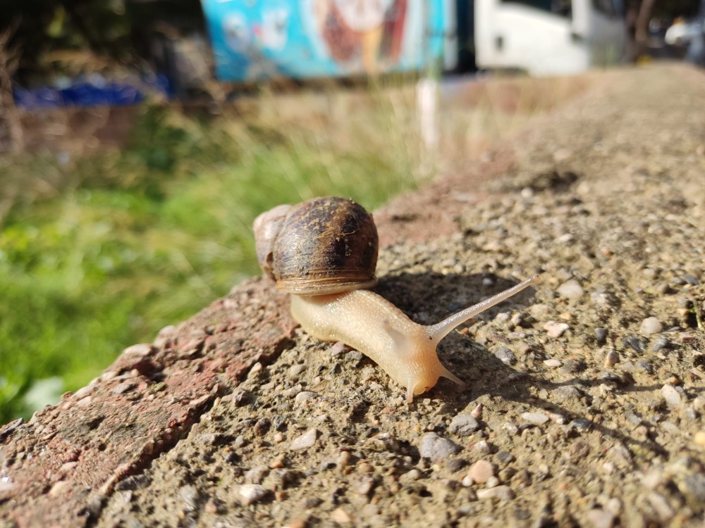 WhatsApp Image 2025-10-30 at 01.23.44.jpeg