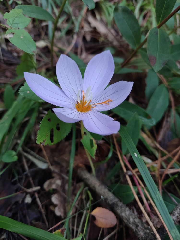 WhatsApp Image 2025-10-30 at 01.23.44 (3).jpeg