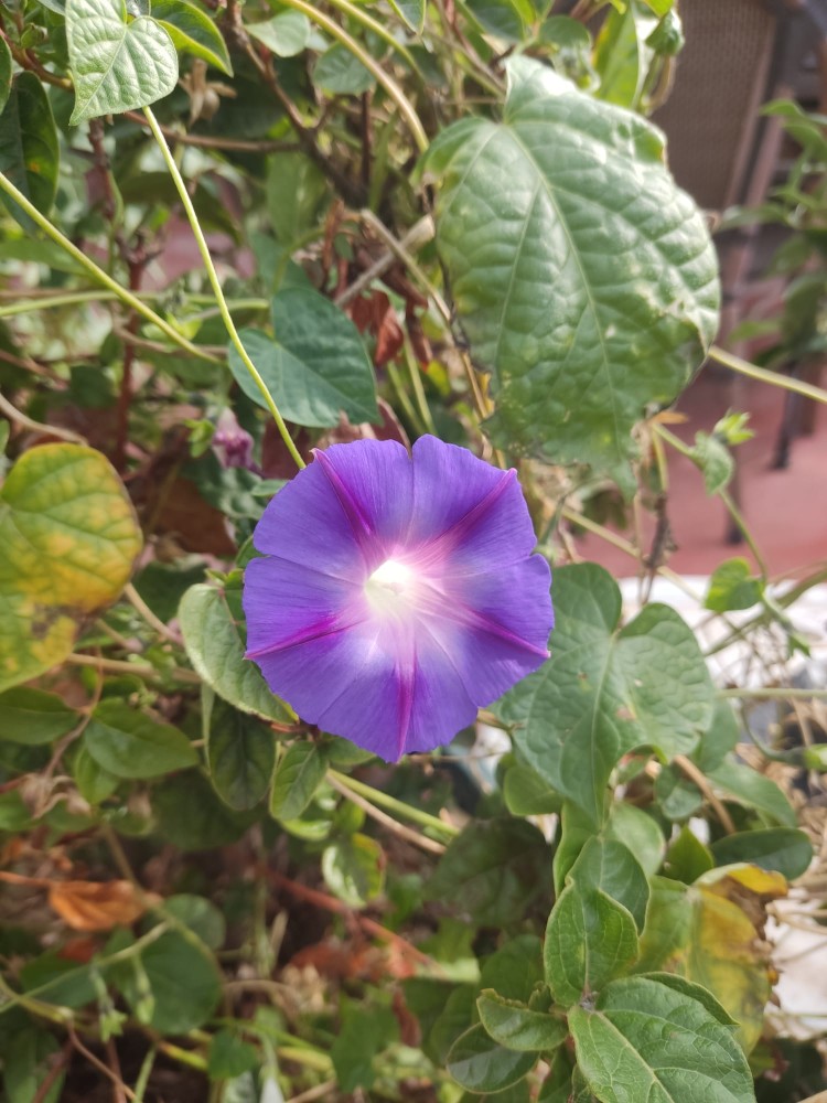 WhatsApp Image 2025-10-30 at 01.23.45 (1).jpeg