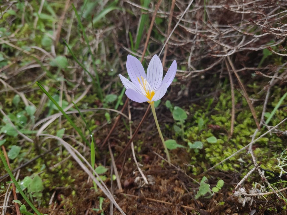 WhatsApp Image 2025-10-30 at 01.23.45.jpeg