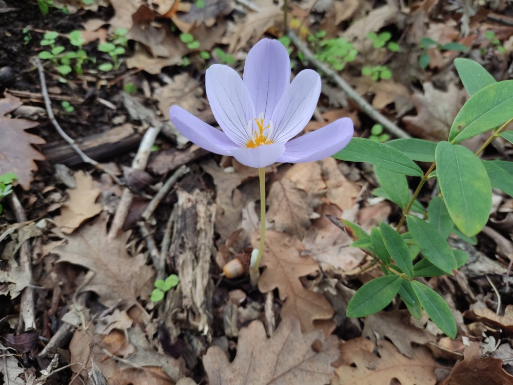 WhatsApp Image 2025-10-30 at 01.23.44 (1).jpeg