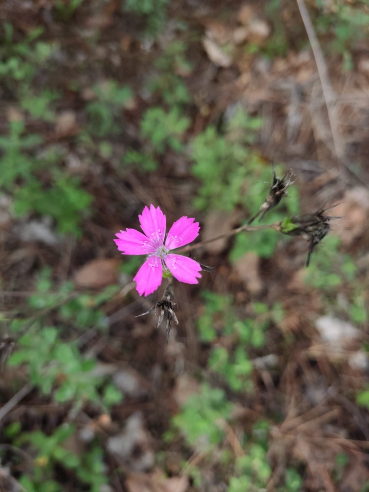 WhatsApp Image 2025-10-30 at 01.23.44 (2).jpeg