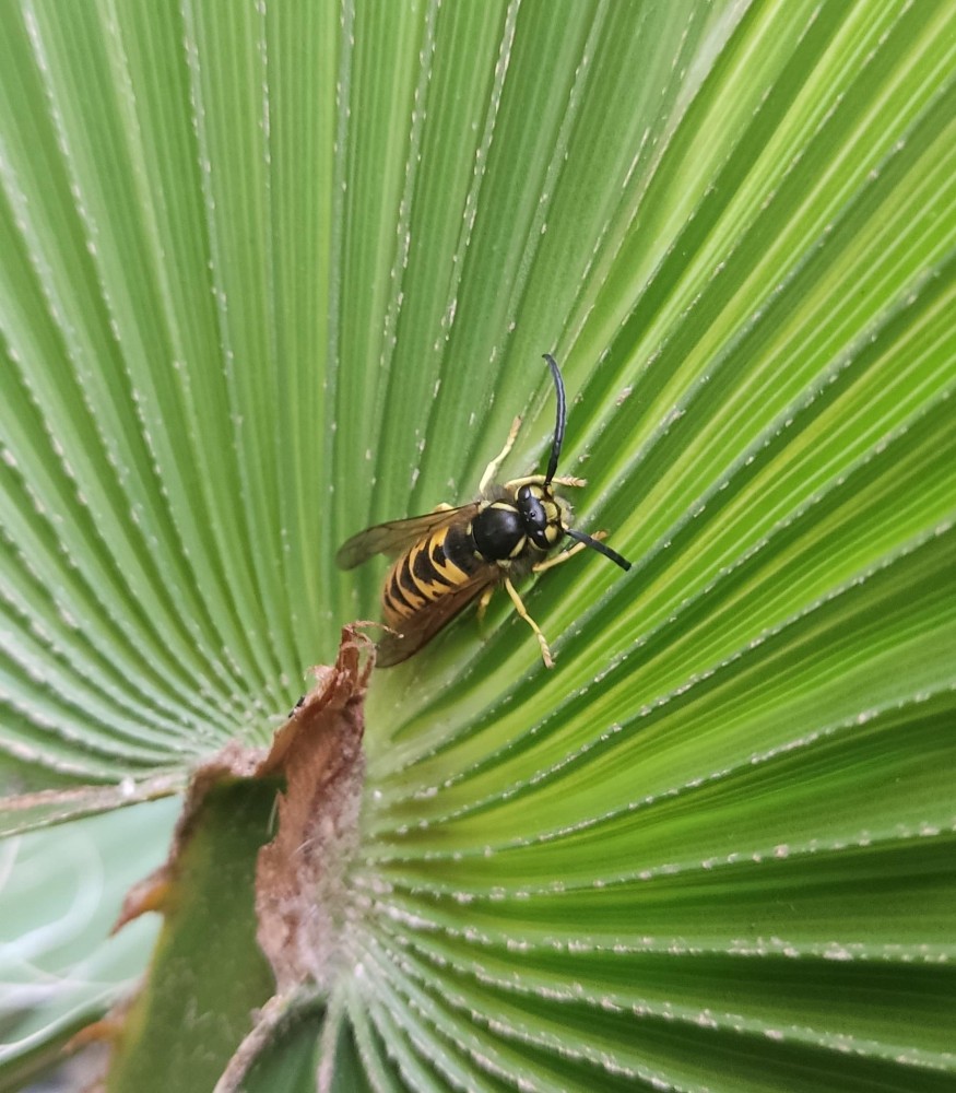 WhatsApp Image 2025-10-31 at 23.28.03.jpeg