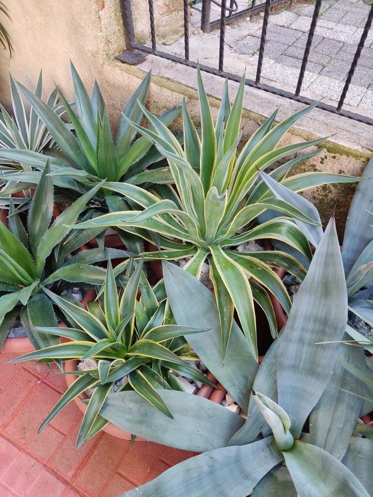 WhatsApp Image 2025-10-31 at 23.27.24 (3).jpeg