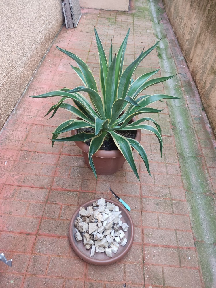 WhatsApp Image 2025-10-31 at 23.27.23 (2).jpeg