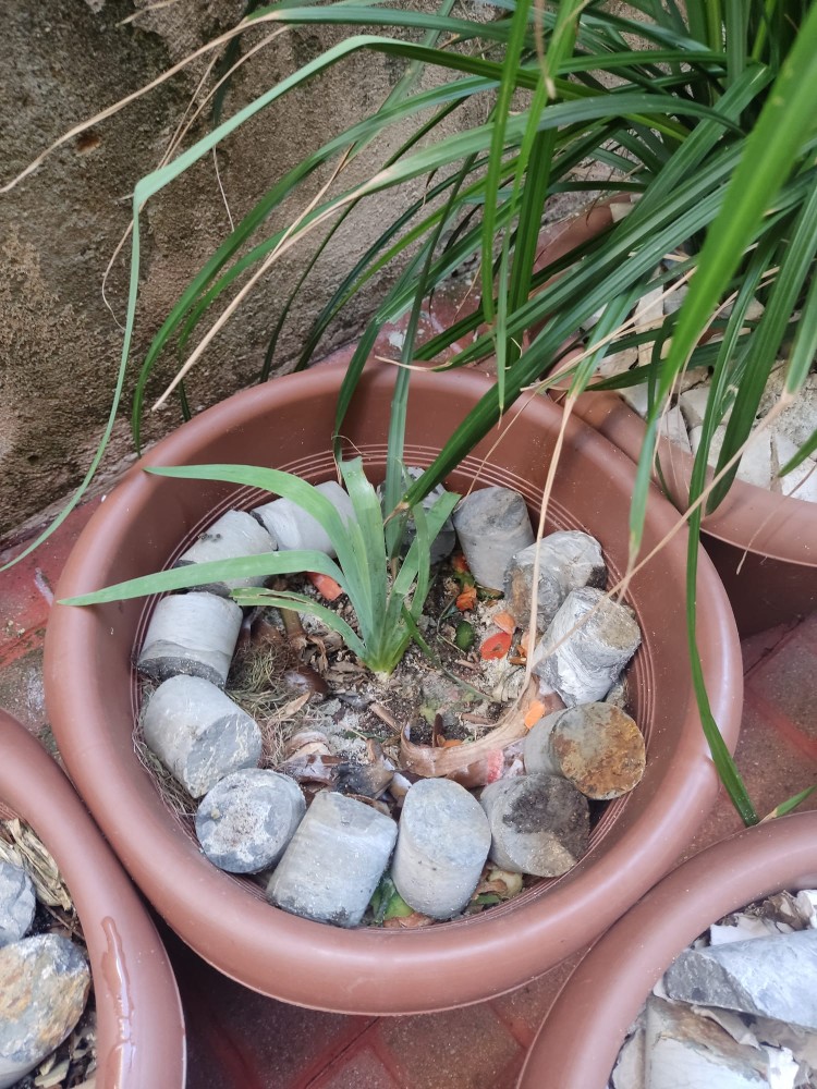 WhatsApp Image 2025-10-31 at 23.27.21 (1).jpeg