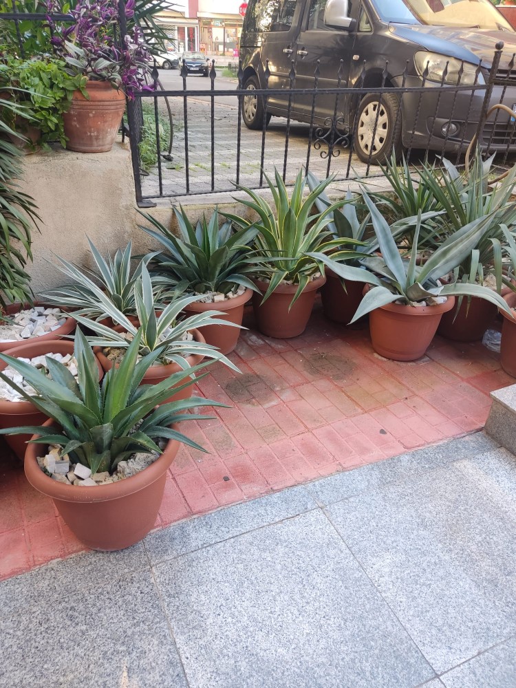 WhatsApp Image 2025-10-31 at 23.27.23.jpeg