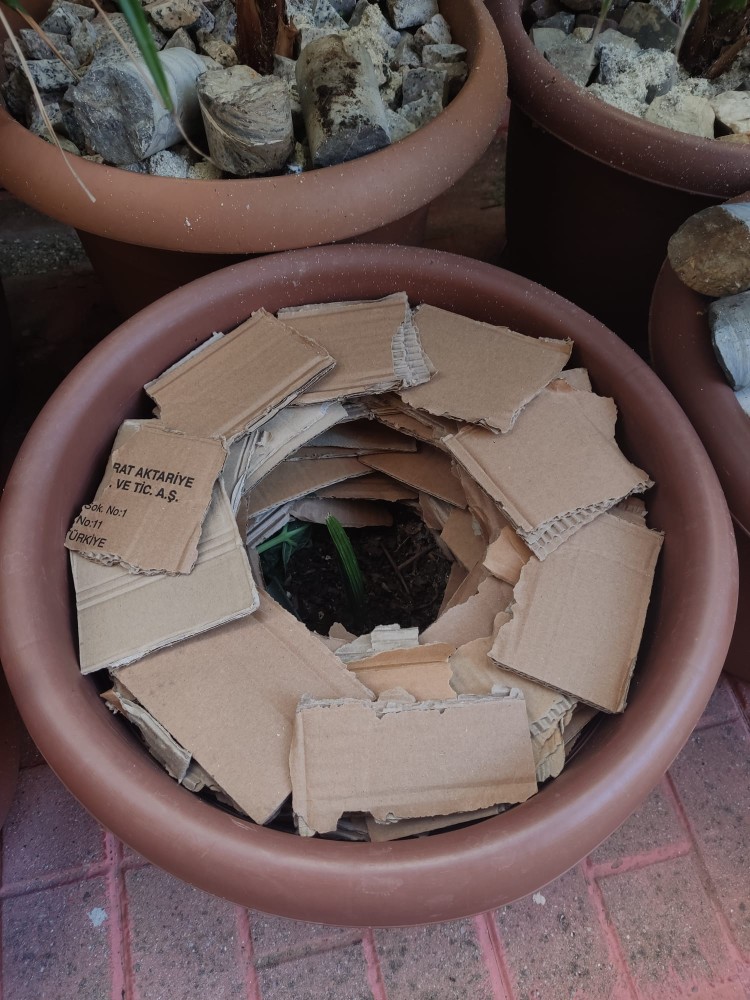 WhatsApp Image 2025-10-31 at 23.27.24 (2).jpeg