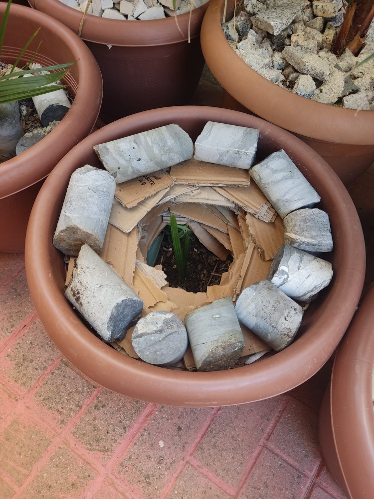 WhatsApp Image 2025-10-31 at 23.27.24 (1).jpeg