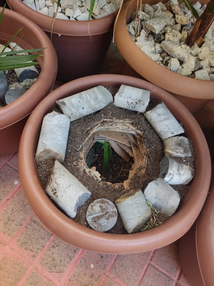 WhatsApp Image 2025-10-31 at 23.27.24.jpeg