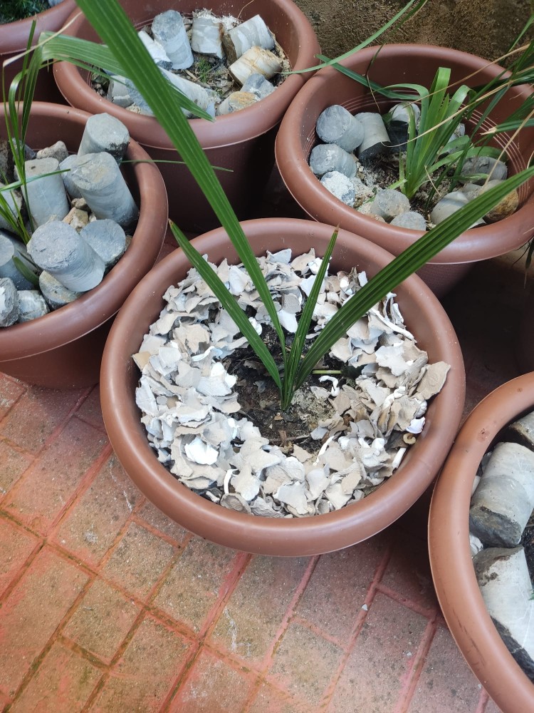 WhatsApp Image 2025-10-31 at 23.27.22 (1).jpeg