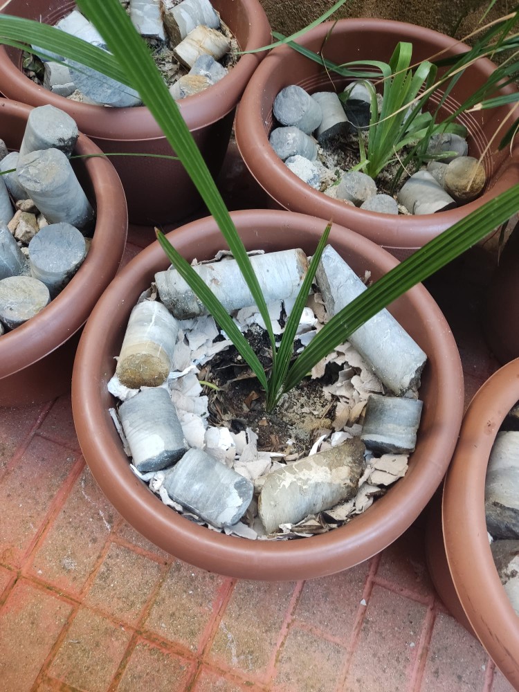 WhatsApp Image 2025-10-31 at 23.27.22.jpeg