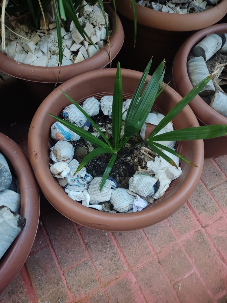 WhatsApp Image 2025-10-31 at 23.27.22 (3).jpeg