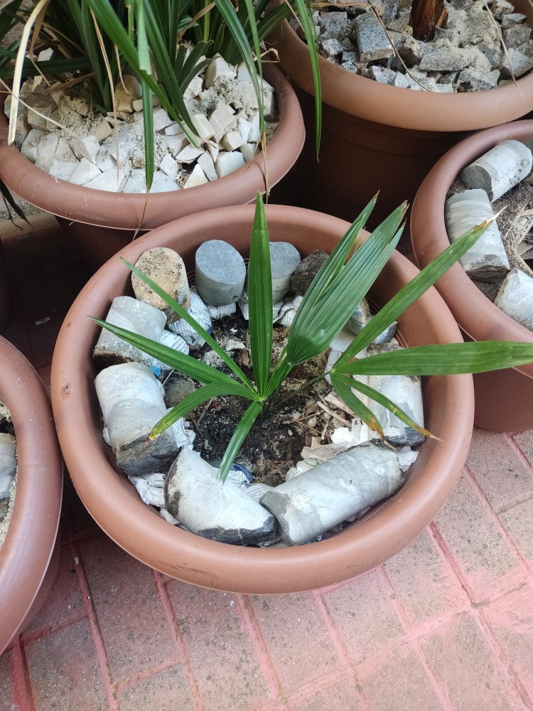 WhatsApp Image 2025-10-31 at 23.27.22 (2).jpeg