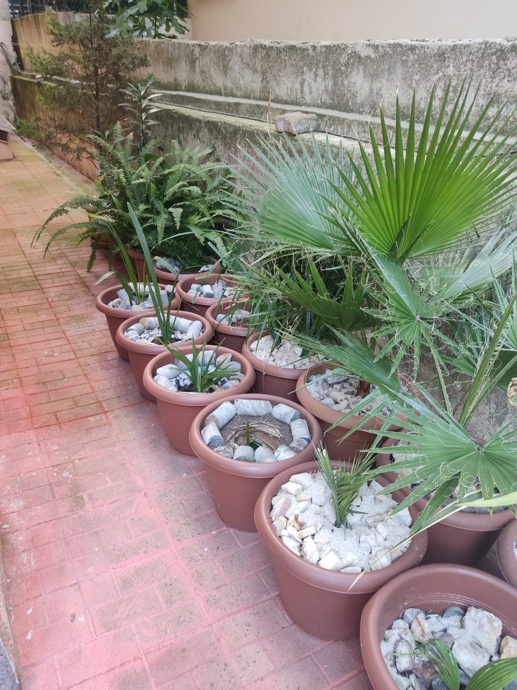 WhatsApp Image 2025-10-31 at 23.27.21.jpeg