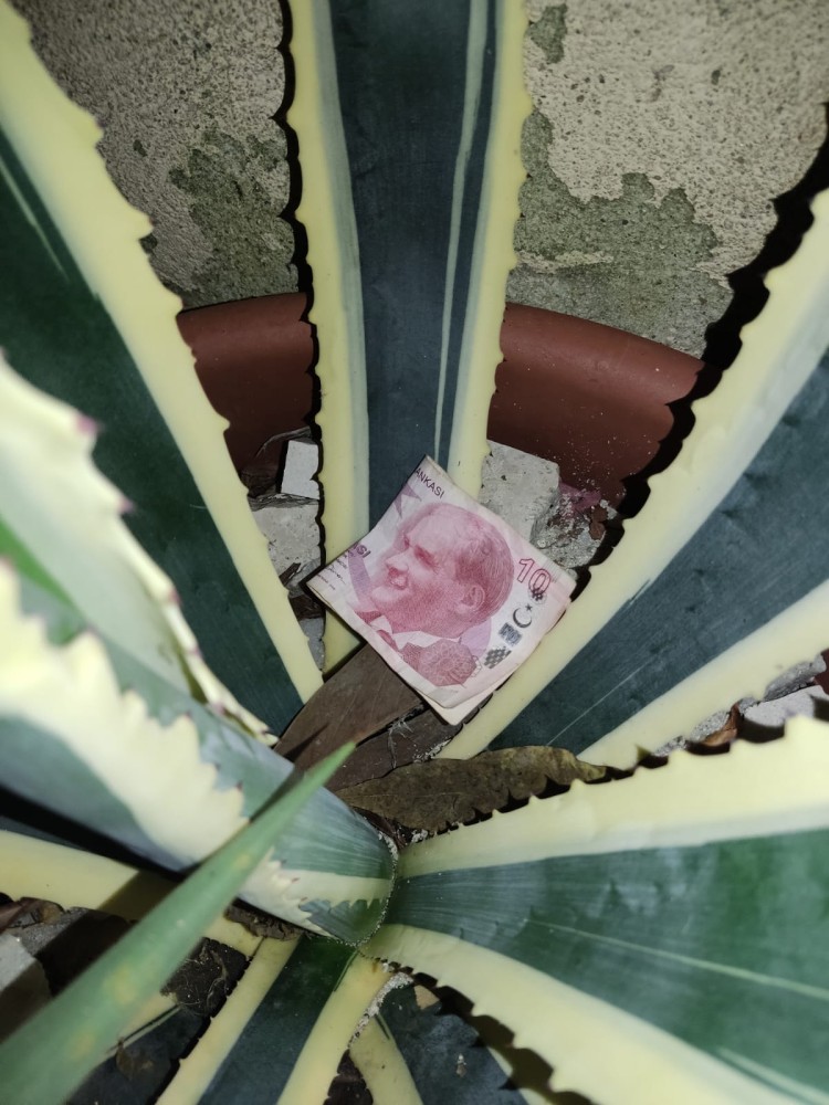 WhatsApp Image 2025-11-06 at 21.12.26.jpeg