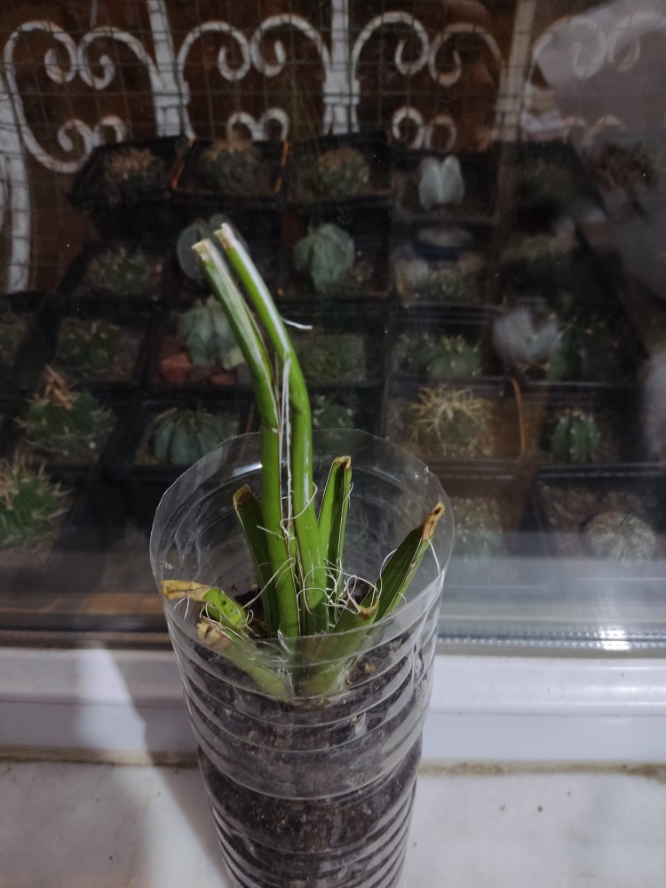 WhatsApp Image 2025-11-08 at 23.35.12 (1).jpeg