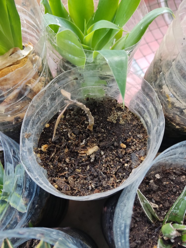 WhatsApp Image 2025-11-11 at 17.14.29.jpeg