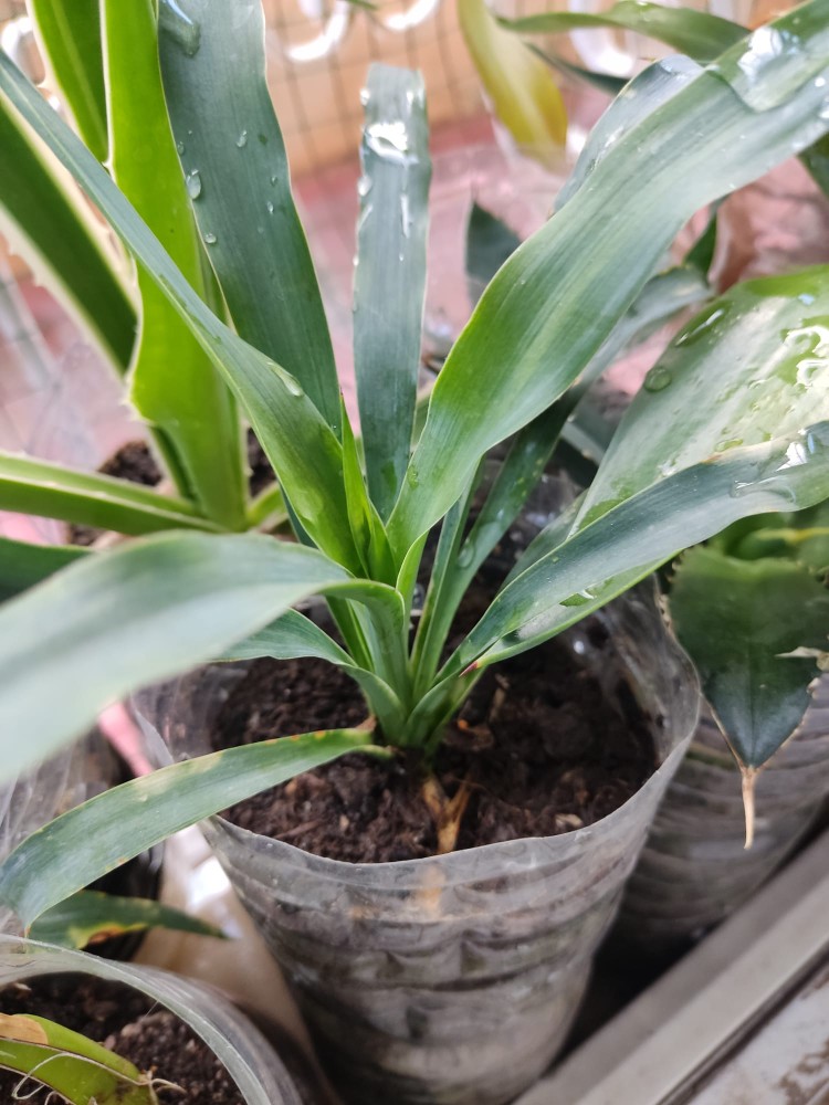 WhatsApp Image 2025-11-11 at 17.14.27(3).jpeg