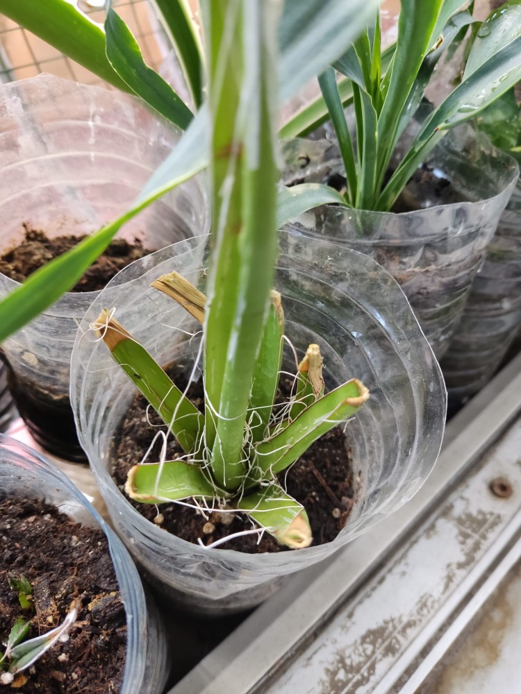 WhatsApp Image 2025-11-11 at 17.14.28.jpeg