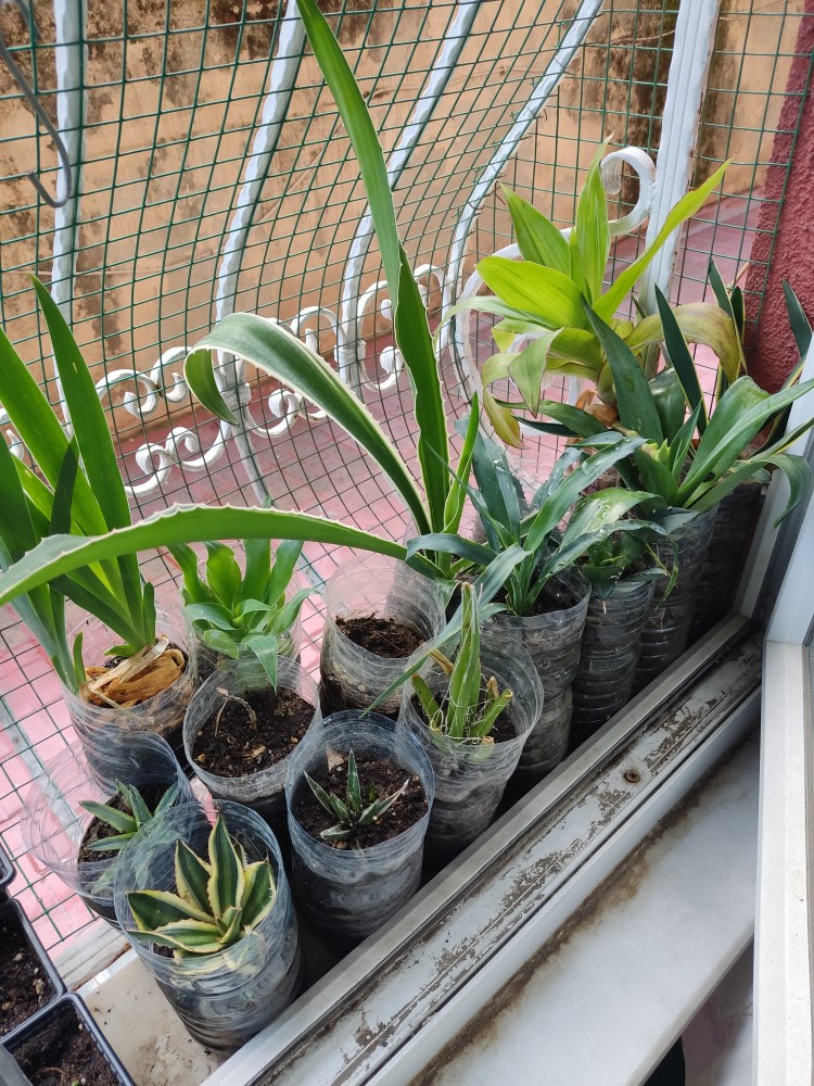 WhatsApp Image 2025-11-11 at 17.14.27(1).jpeg