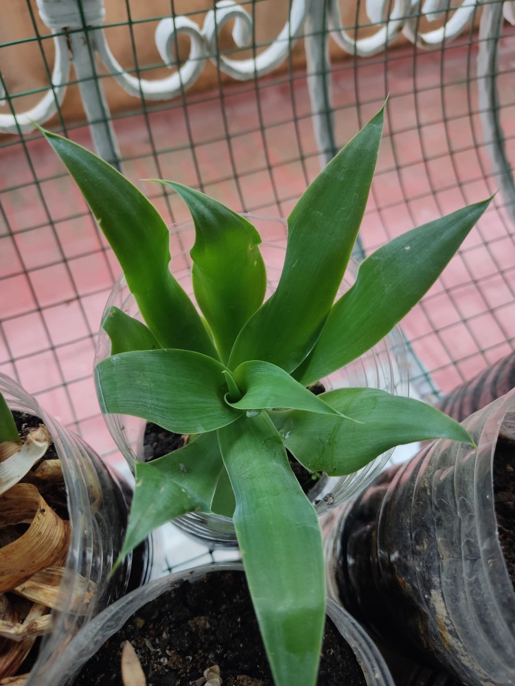 WhatsApp Image 2025-11-12 at 17.20.19.jpeg