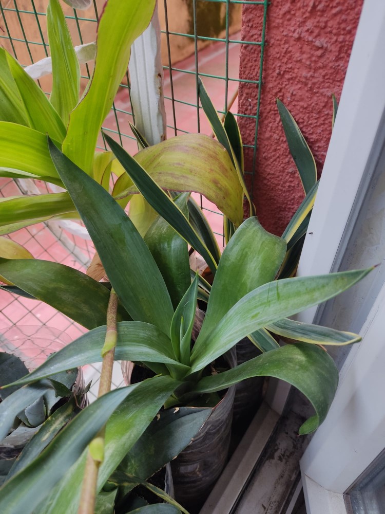 WhatsApp Image 2025-11-12 at 17.20.19(1).jpeg