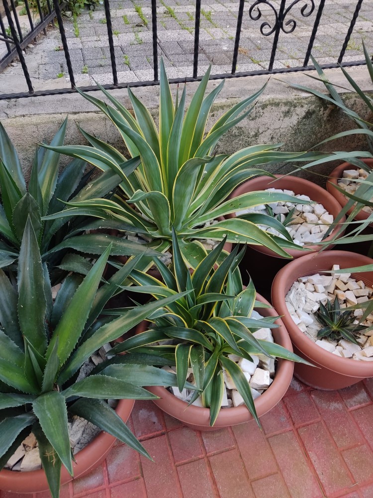 WhatsApp Image 2025-11-15 at 22.47.29(1).jpeg