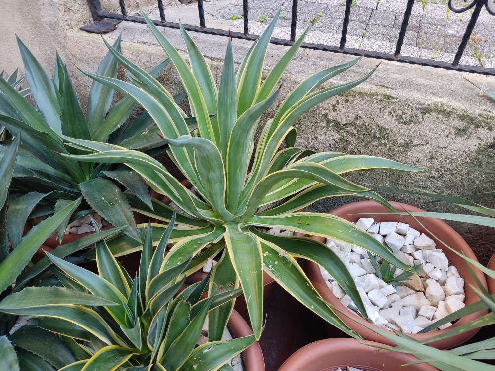 WhatsApp Image 2025-11-15 at 22.47.29.jpeg