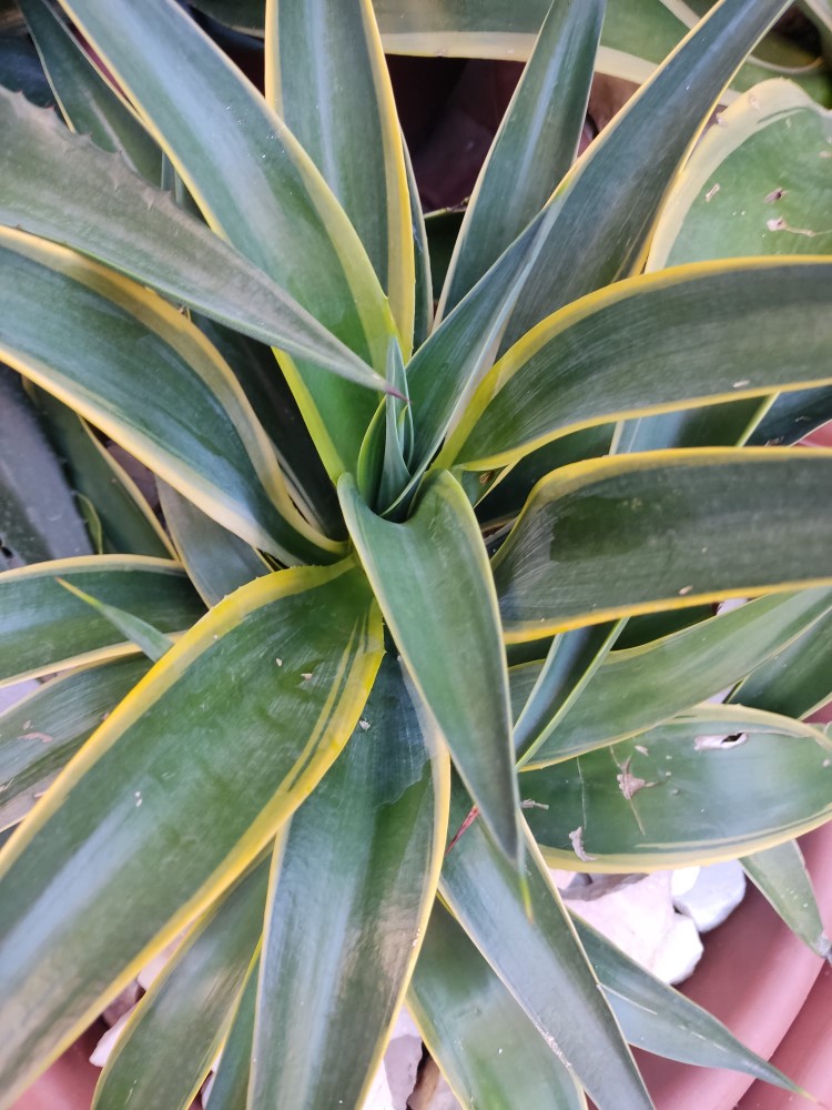 WhatsApp Image 2025-11-15 at 22.47.28(1).jpeg