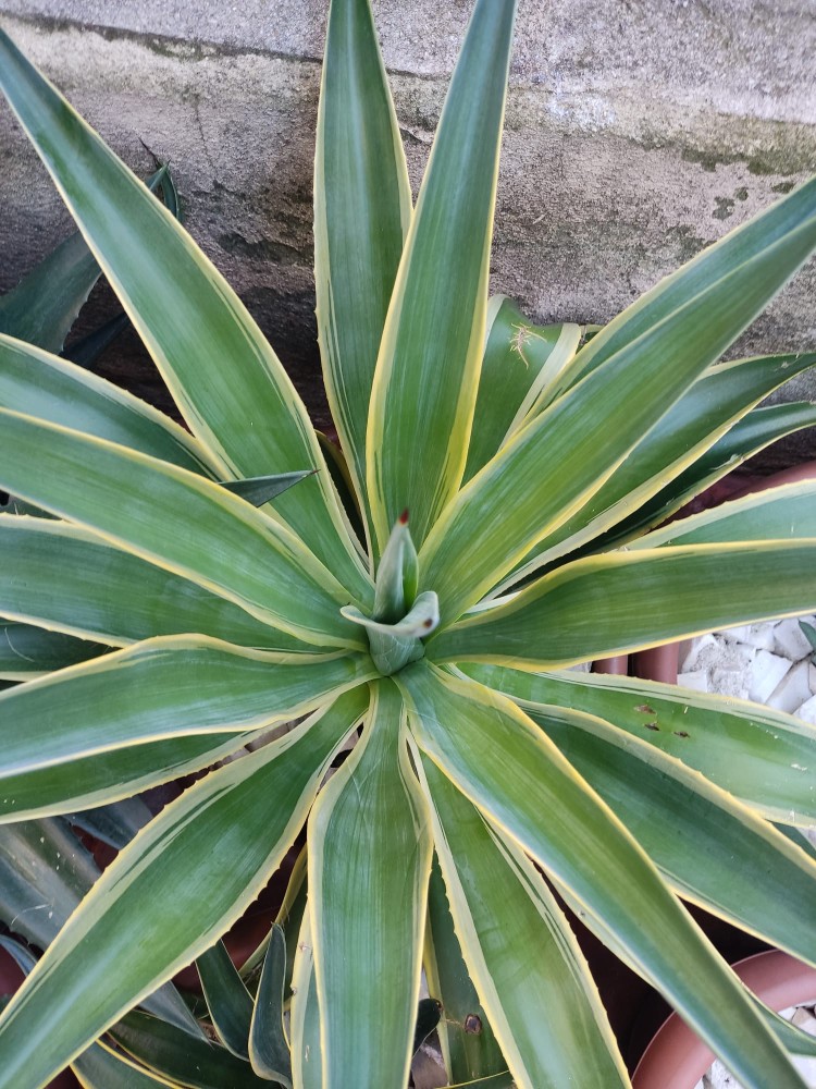 WhatsApp Image 2025-11-15 at 22.47.28.jpeg