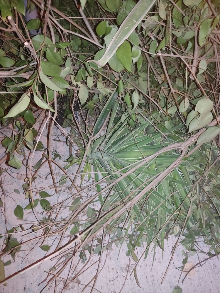 WhatsApp Image 2025-11-18 at 22.11.20(1).jpeg