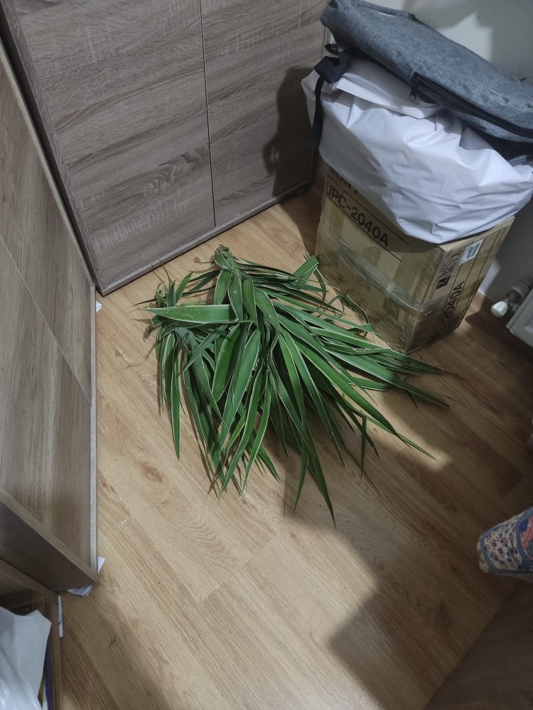 WhatsApp Image 2025-11-18 at 22.11.20.jpeg