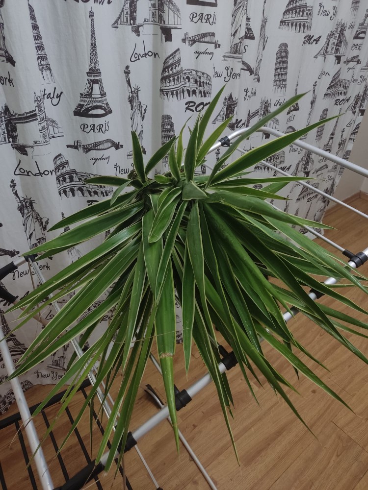 WhatsApp Image 2025-11-19 at 01.16.01.jpeg