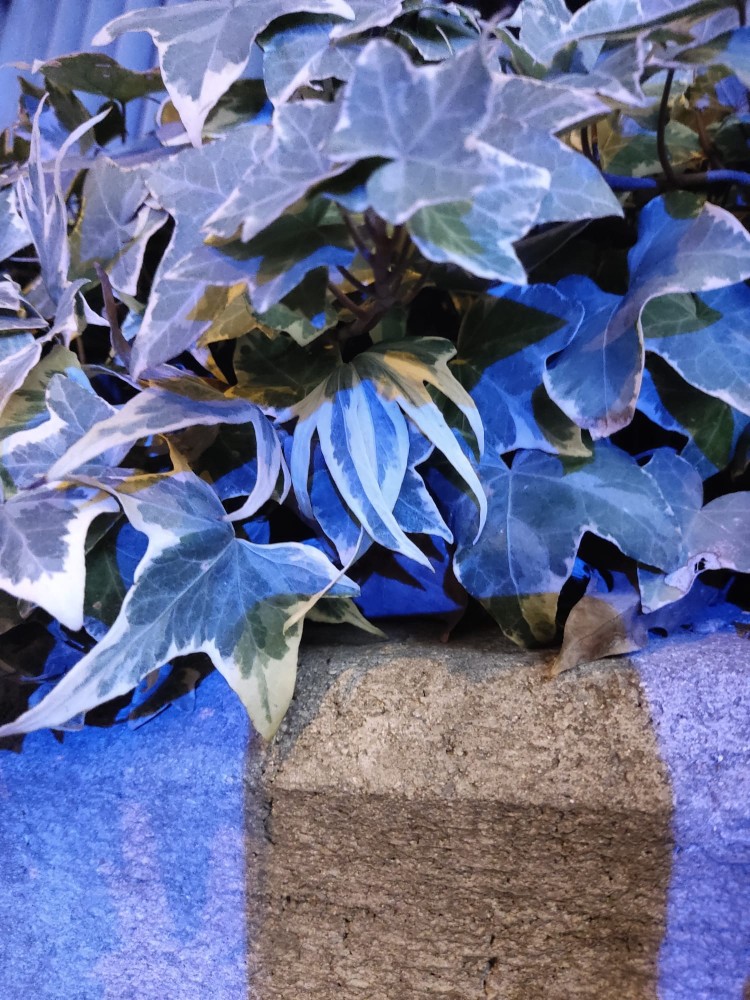 WhatsApp Image 2025-11-21 at 23.21.53(1).jpeg