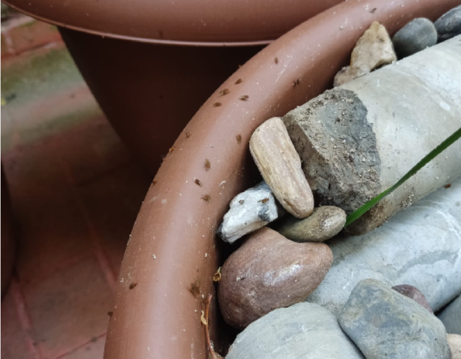 Captura de pantalla 2025-11-21 233145.png