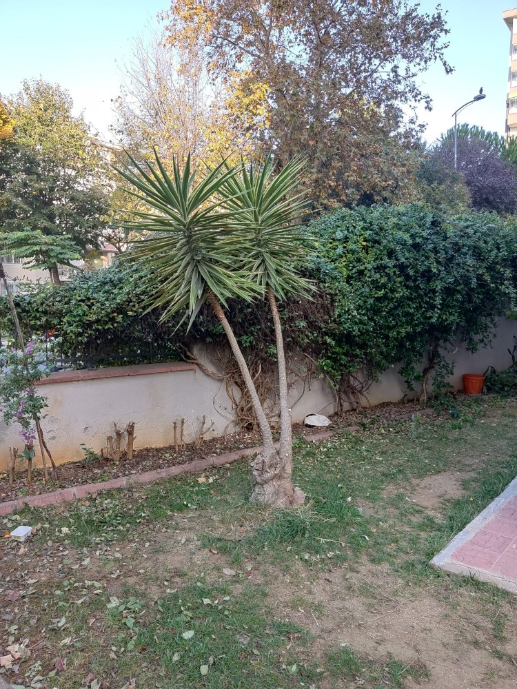 WhatsApp Image 2025-11-21 at 23.21.52.jpeg