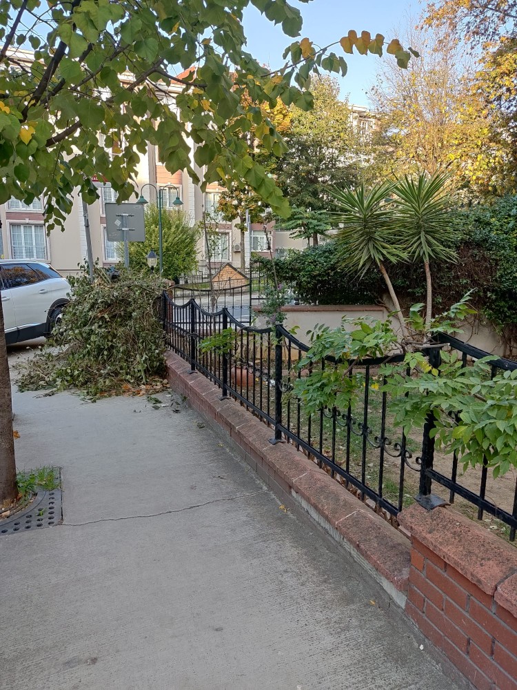 WhatsApp Image 2025-11-21 at 23.21.52(1).jpeg